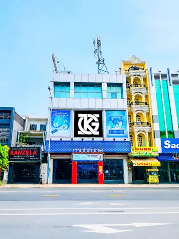 Bất động sản tại TP. Hồ Chí Minh - ảnh 1