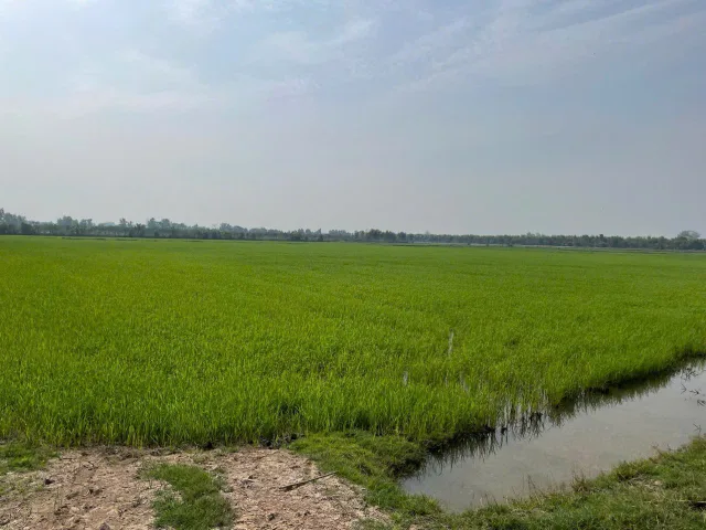 Bất động sản tại Long An - ảnh 1