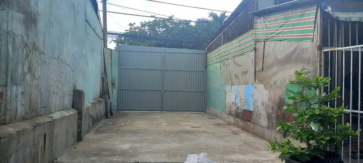 Bất động sản tại Long An - ảnh 1