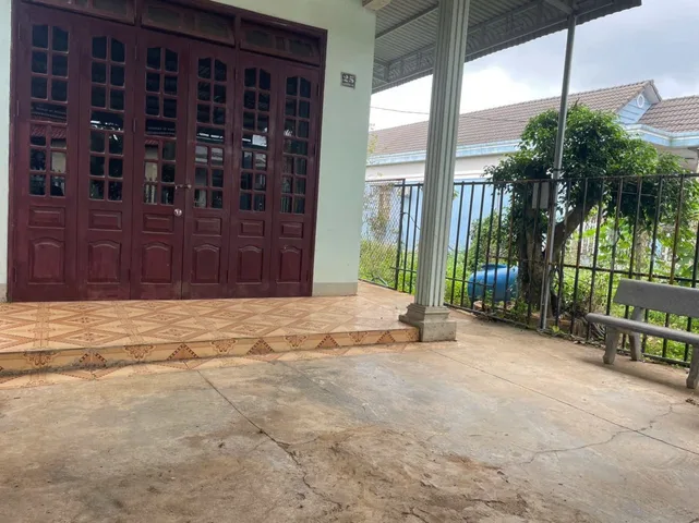 Bất động sản tại Đắk Lắk - ảnh 1