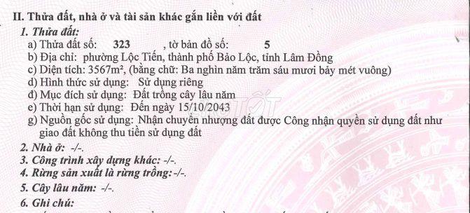 Bất động sản tại Lâm Đồng - ảnh 1
