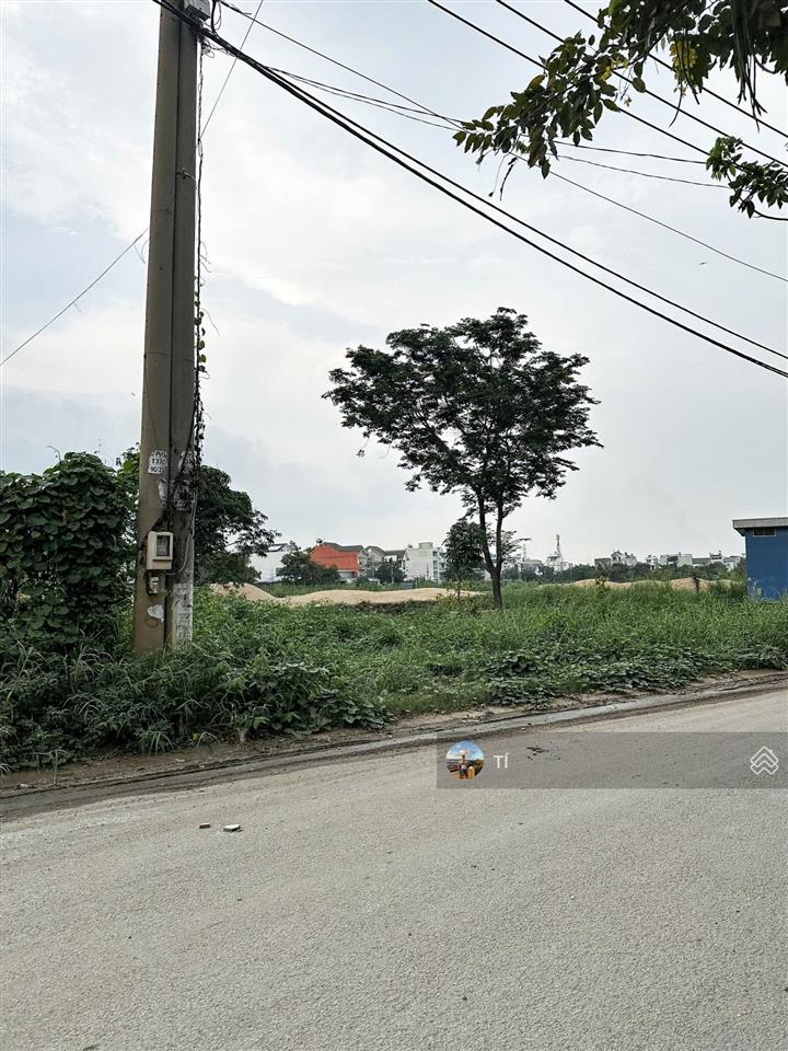 Bất động sản tại Long An - ảnh 1