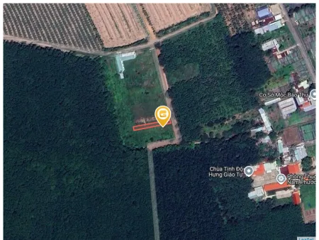 Bất động sản tại Bình Dương - ảnh 1