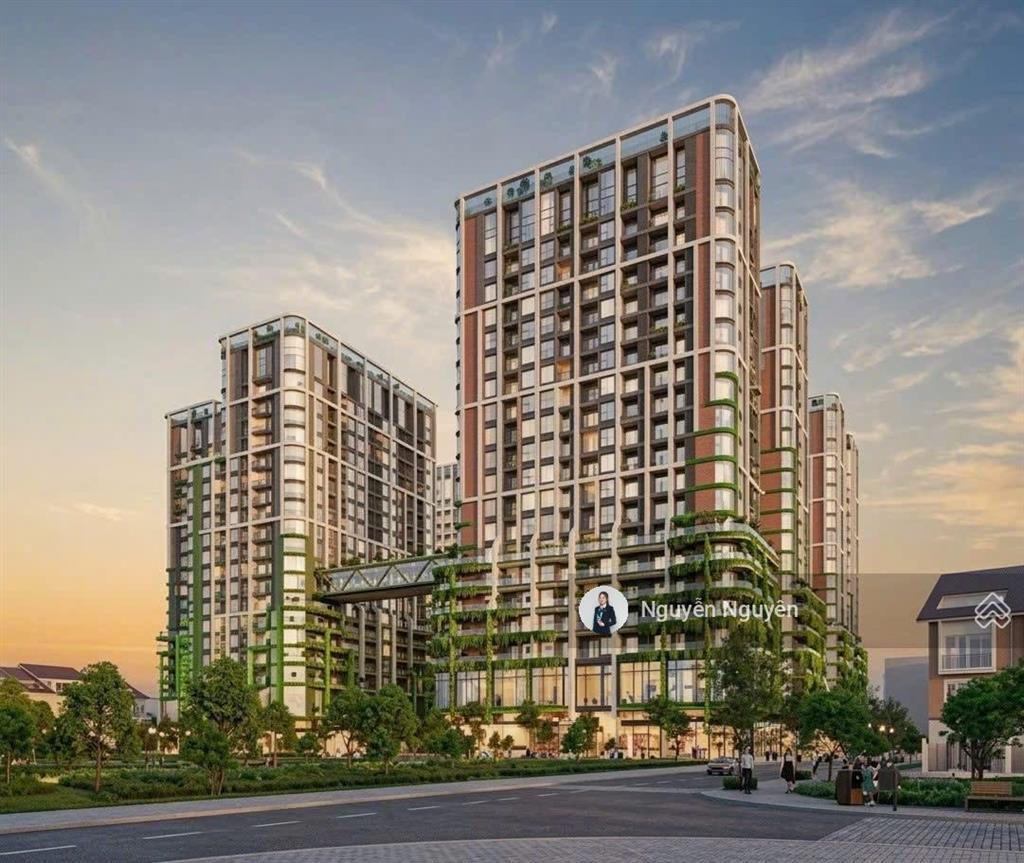 Bất động sản tại Đà Nẵng - ảnh 1
