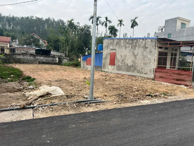 Bất động sản tại Hải Phòng - ảnh 1