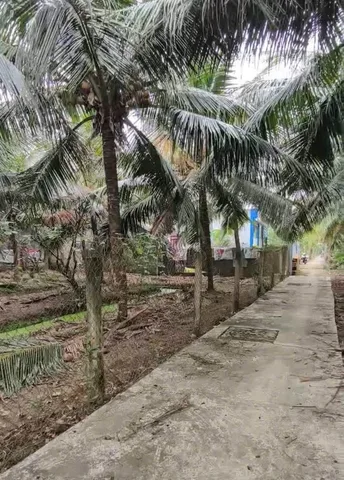 Bất động sản tại Tiền Giang - ảnh 1