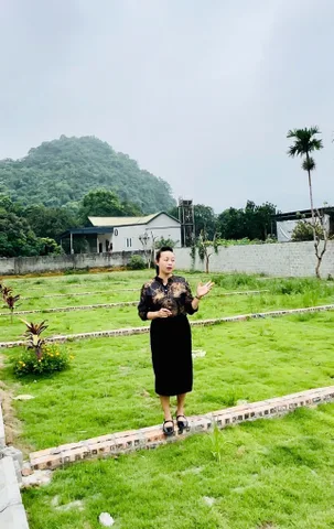 Bất động sản tại Phú Thọ - ảnh 1