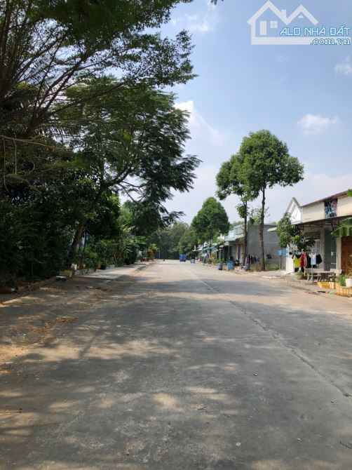 Bất động sản tại Bình Dương - ảnh 1