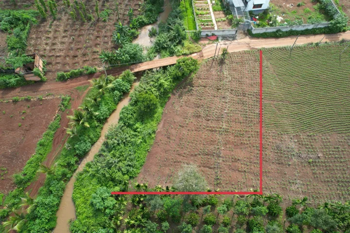 Bất động sản tại Đắk Lắk - ảnh 1
