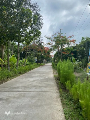 Bất động sản tại Bến Tre - ảnh 1