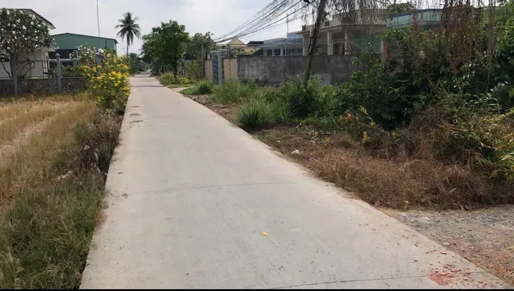 Bất động sản tại Long An - ảnh 1