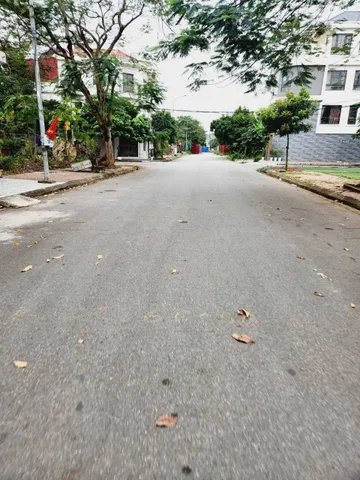 Bất động sản tại Hải Phòng - ảnh 1
