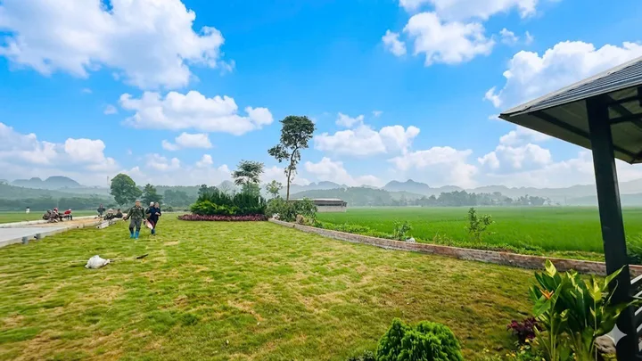 Bất động sản tại Phú Thọ - ảnh 1