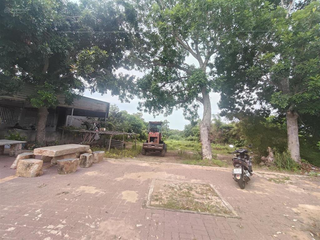 Bất động sản tại Bà Rịa - Vũng Tàu - ảnh 1