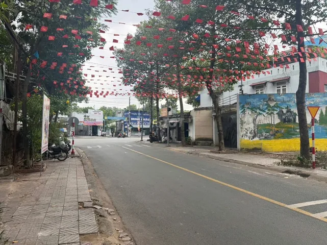 Bất động sản tại Bình Dương - ảnh 1