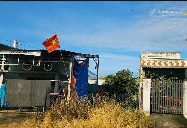 Bất động sản tại Long An - ảnh 1