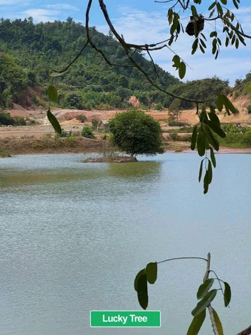 Bất động sản tại Lâm Đồng - ảnh 1