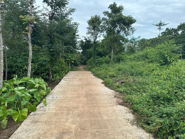 Bất động sản tại Đắk Lắk - ảnh 1