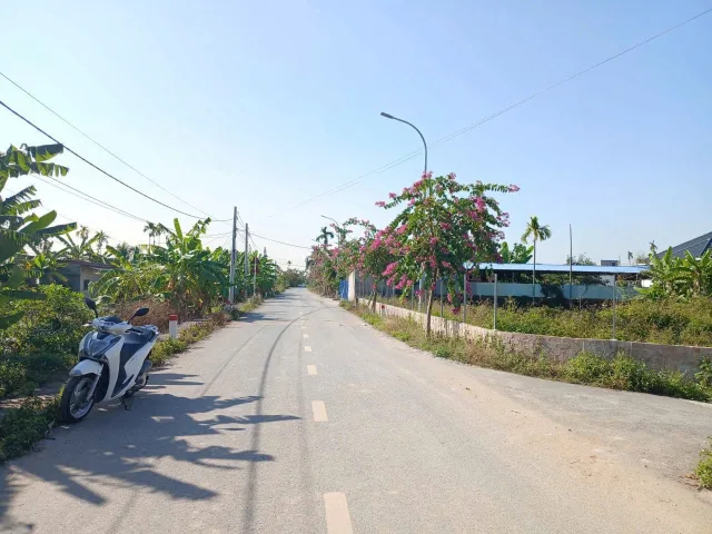 Bất động sản tại Hải Phòng - ảnh 1