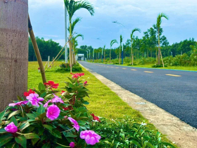 Bất động sản tại Đồng Nai - ảnh 1
