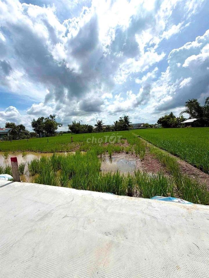 Bất động sản tại Long An - ảnh 1