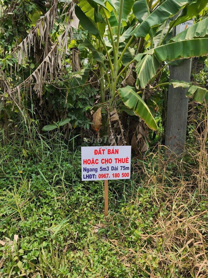 Bất động sản tại Sóc Trăng - ảnh 1