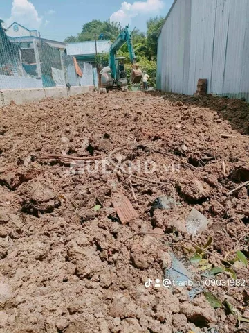 Bất động sản tại Bình Dương - ảnh 1