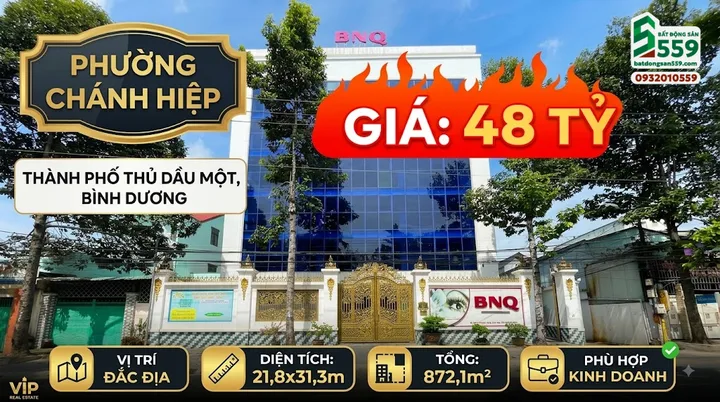 Bất động sản tại Bình Dương - ảnh 1