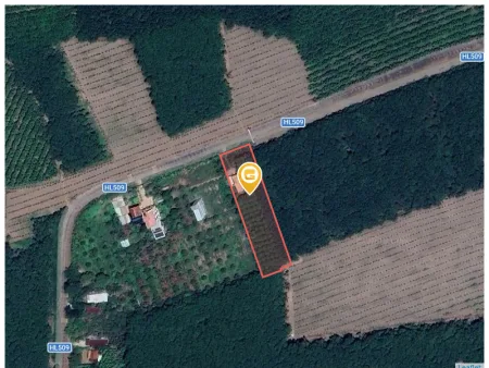 Bất động sản tại Bình Dương - ảnh 1