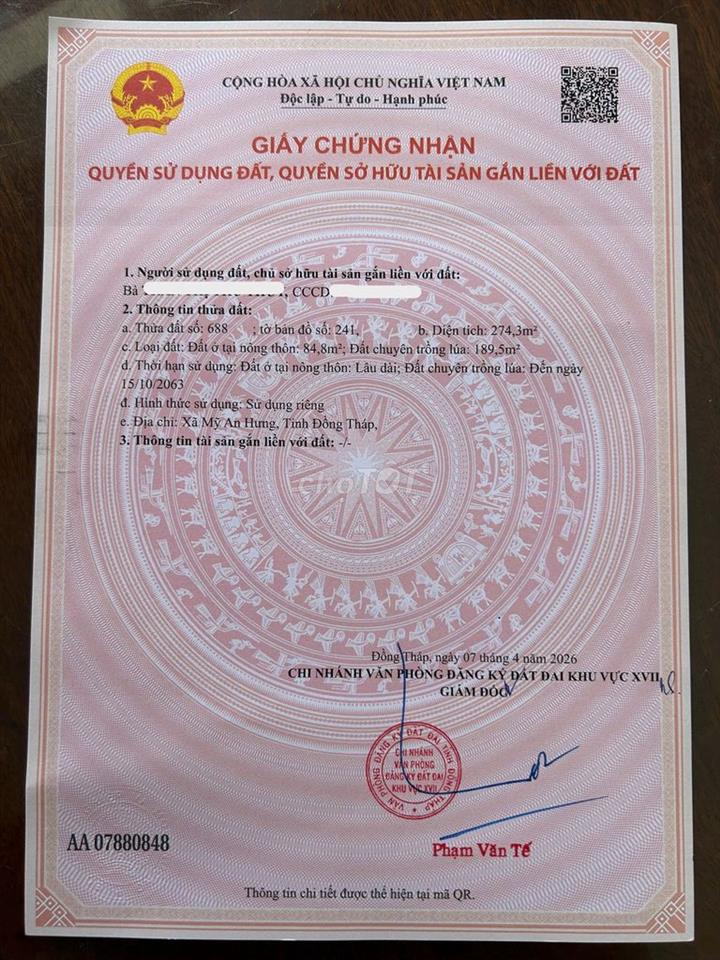 Bất động sản tại Đồng Tháp - ảnh 1