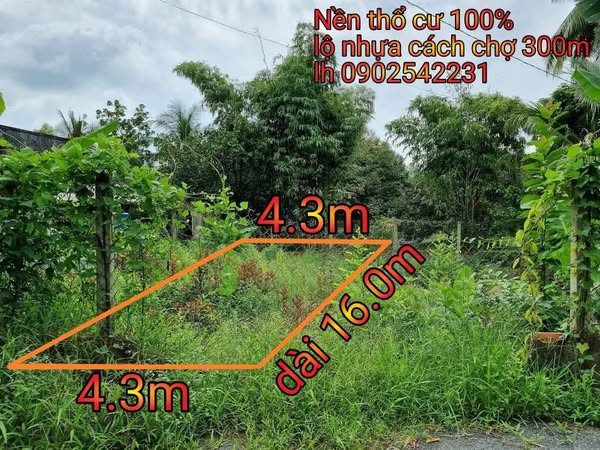Bất động sản tại Vĩnh Long - ảnh 1