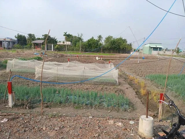 Bất động sản tại Long An - ảnh 1