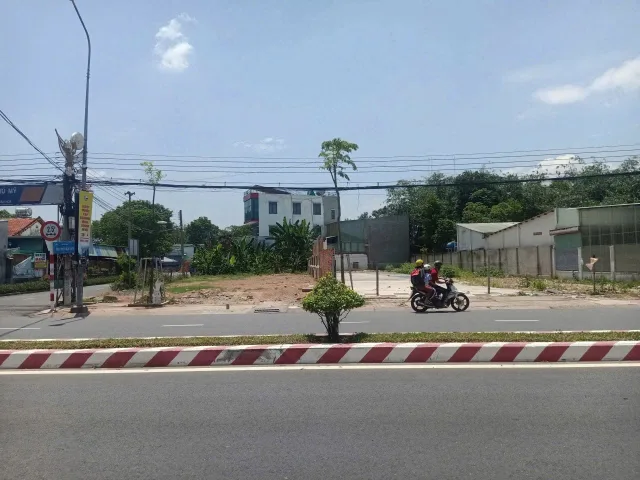 Bất động sản tại Bình Dương - ảnh 1