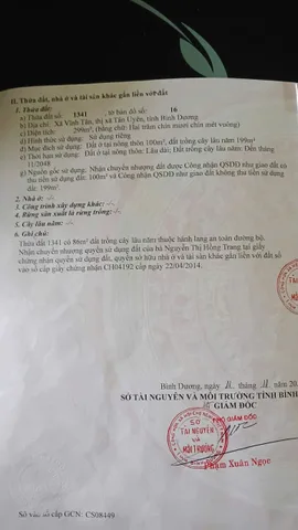 Bất động sản tại Bình Dương - ảnh 1