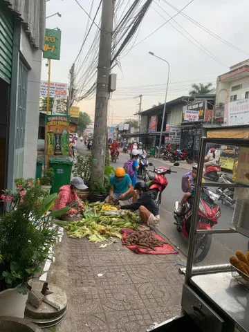Bất động sản tại Bình Dương - ảnh 1
