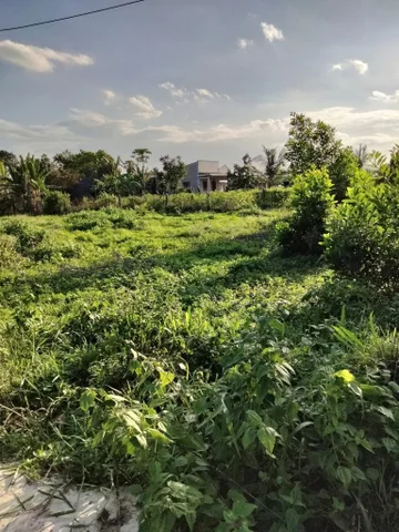 Bất động sản tại Bà Rịa - Vũng Tàu - ảnh 1