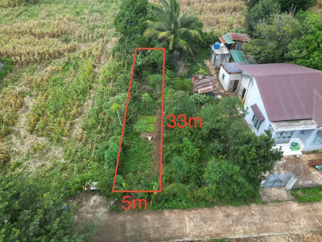 Bất động sản tại Đắk Lắk - ảnh 1