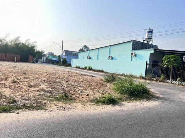 Bất động sản tại Bình Dương - ảnh 1