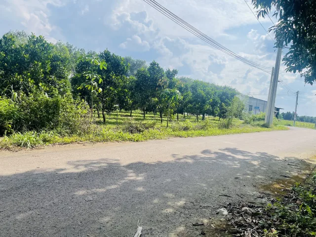 Bất động sản tại Bình Dương - ảnh 1