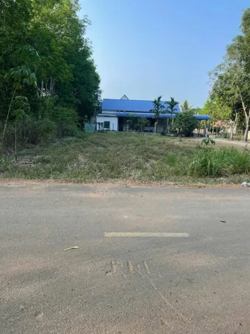 Bất động sản tại Bình Dương - ảnh 1