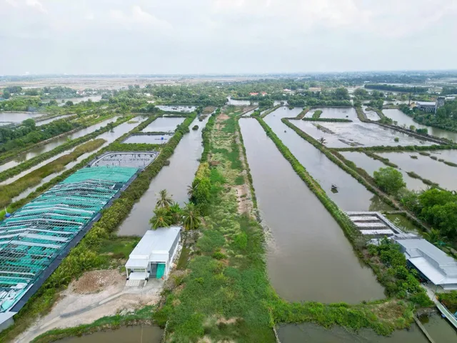 Bất động sản tại Cà Mau - ảnh 1