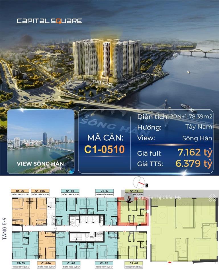 Bất động sản tại Đà Nẵng - ảnh 1