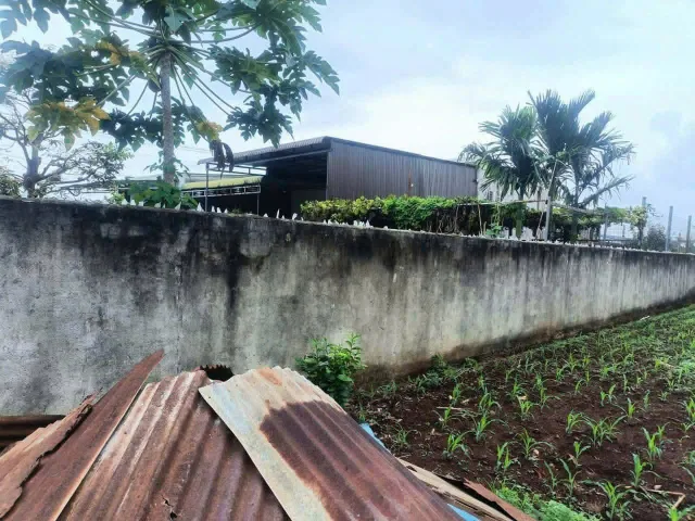 Bất động sản tại Đắk Lắk - ảnh 1
