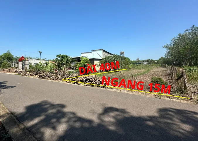 Bất động sản tại Bình Dương - ảnh 1