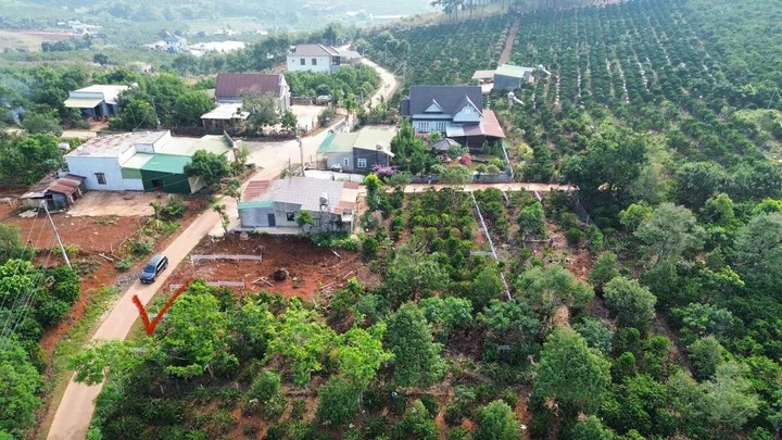 Bất động sản tại Lâm Đồng - ảnh 1
