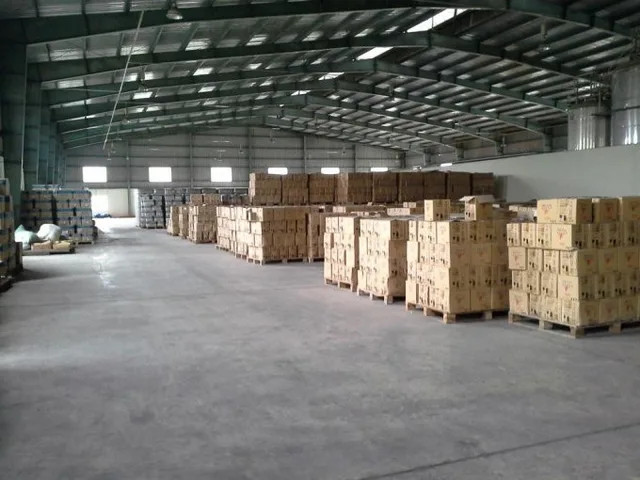Bất động sản tại Bình Dương - ảnh 1