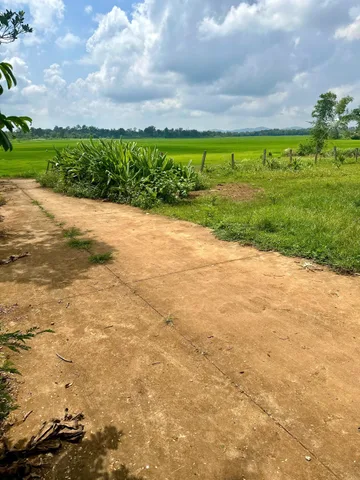 Bất động sản tại Đắk Lắk - ảnh 1