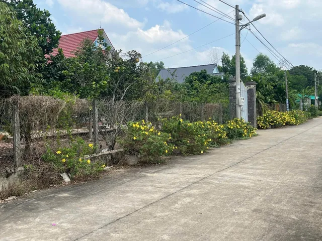Bất động sản tại Bình Dương - ảnh 1