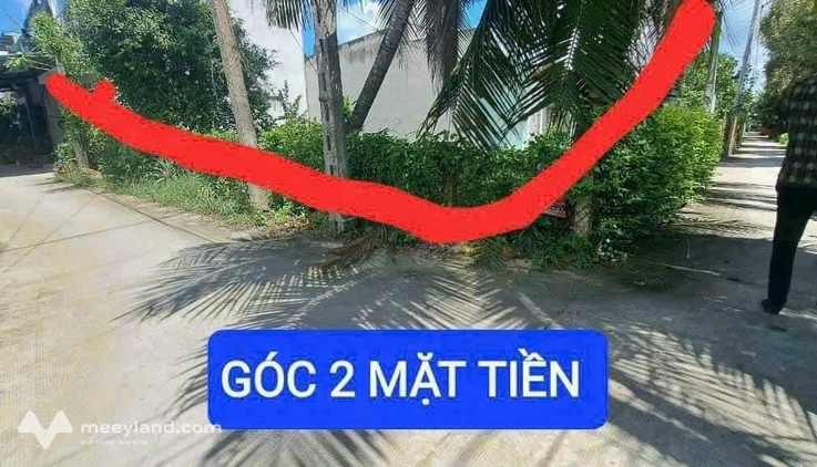 Bất động sản tại Long An - ảnh 1