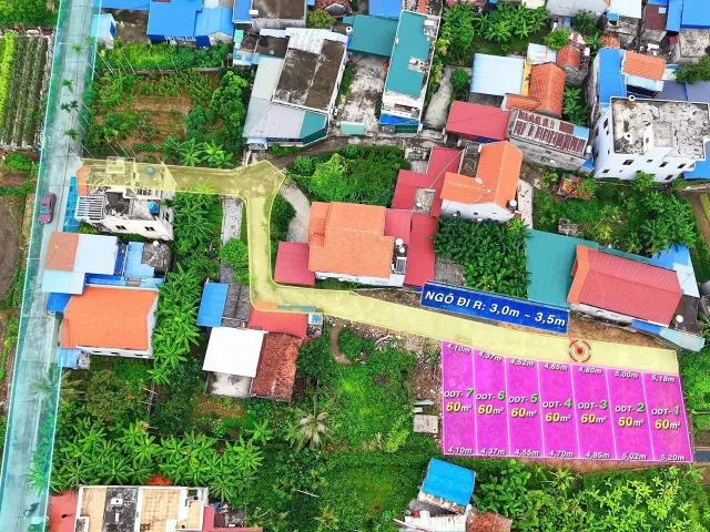 Bất động sản tại Hải Phòng - ảnh 1
